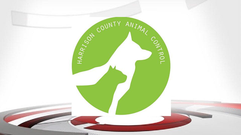 Animal control shelter in Harrison County, Ind. shuts down